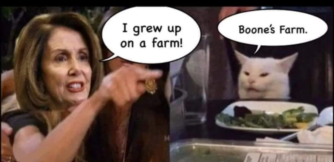 May be an image of 1 person and text that says 'I grew up on a farm! Boone's Farm.'