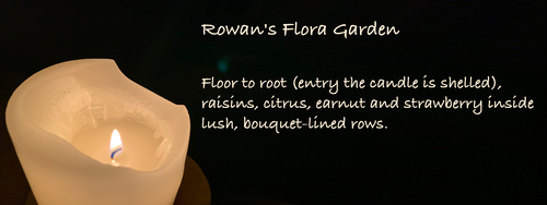 Rowan's Flora Garden
Floor to root (entry the candle is shelled), raisins, citrus, earnut and strawberry inside lush, bouquet-lined rows.