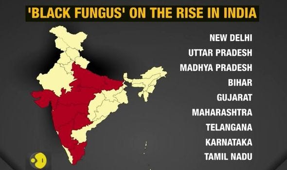 India coronavirus terrifying black fungus outbreak reported in India |  Express.co.uk