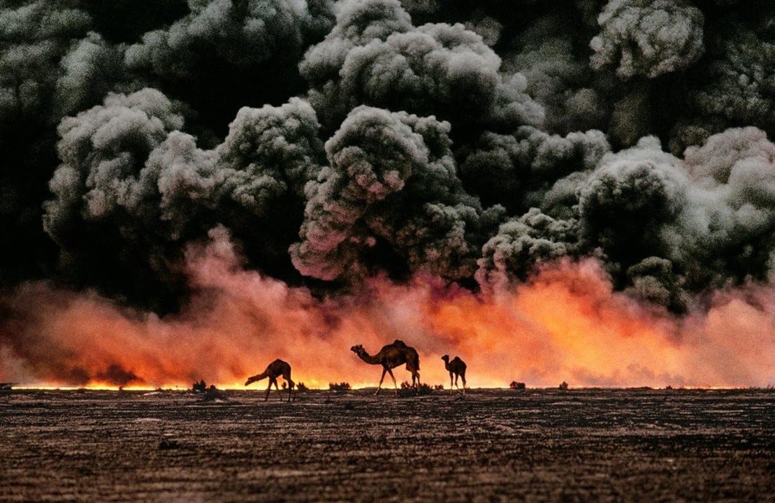 Steven McCurry, Camels and Oil fires in Kuwait, Agence Magnum, 1991.