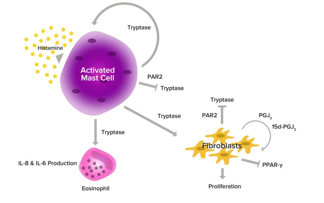 https://data.integrativepro.com/images/blog/mast-cell-stabilization.jpg