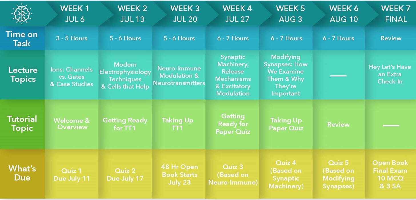 creative writing syllabus template