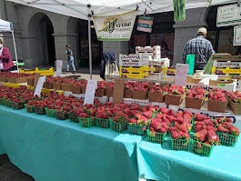 rows of fresh strawberries 