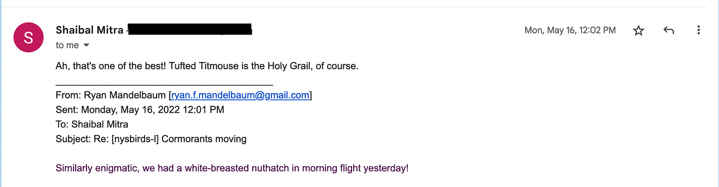 an email exchange between me and Shaibail Mitra from Monday, May 16, 2022. My email reads "similarly enigmatic, we had a white-breasted nuthatch in morning flight yesterday!" and Shai's response is "Ah, that's one of the best! Tufted Titmouse is the Holy Grail, of course."