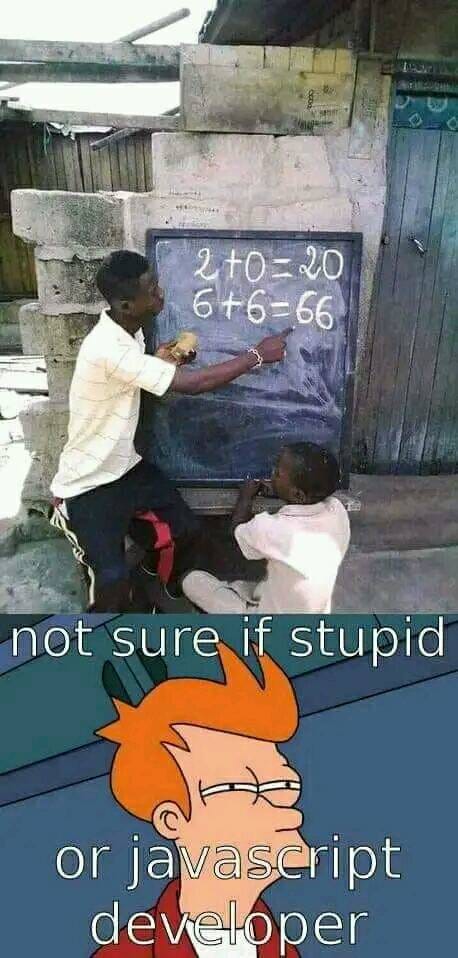 May be an image of 2 people and text that says '2+0=20 6+6=66 not sure if stupid or japt developer'