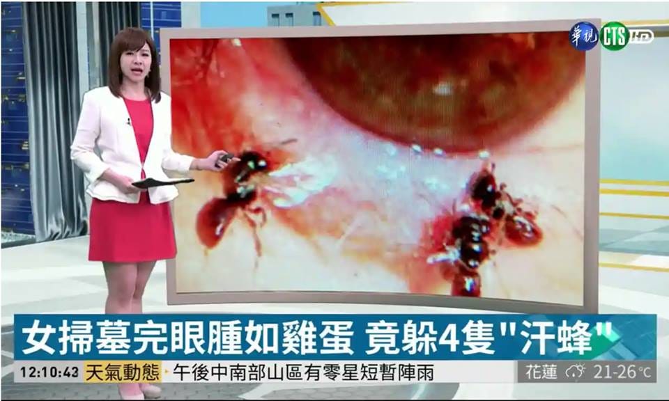 Image of Taiwanese news broadcast.