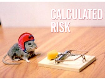 Business Studies - Showing Enterprise Calculated Risk | Teaching Resources
