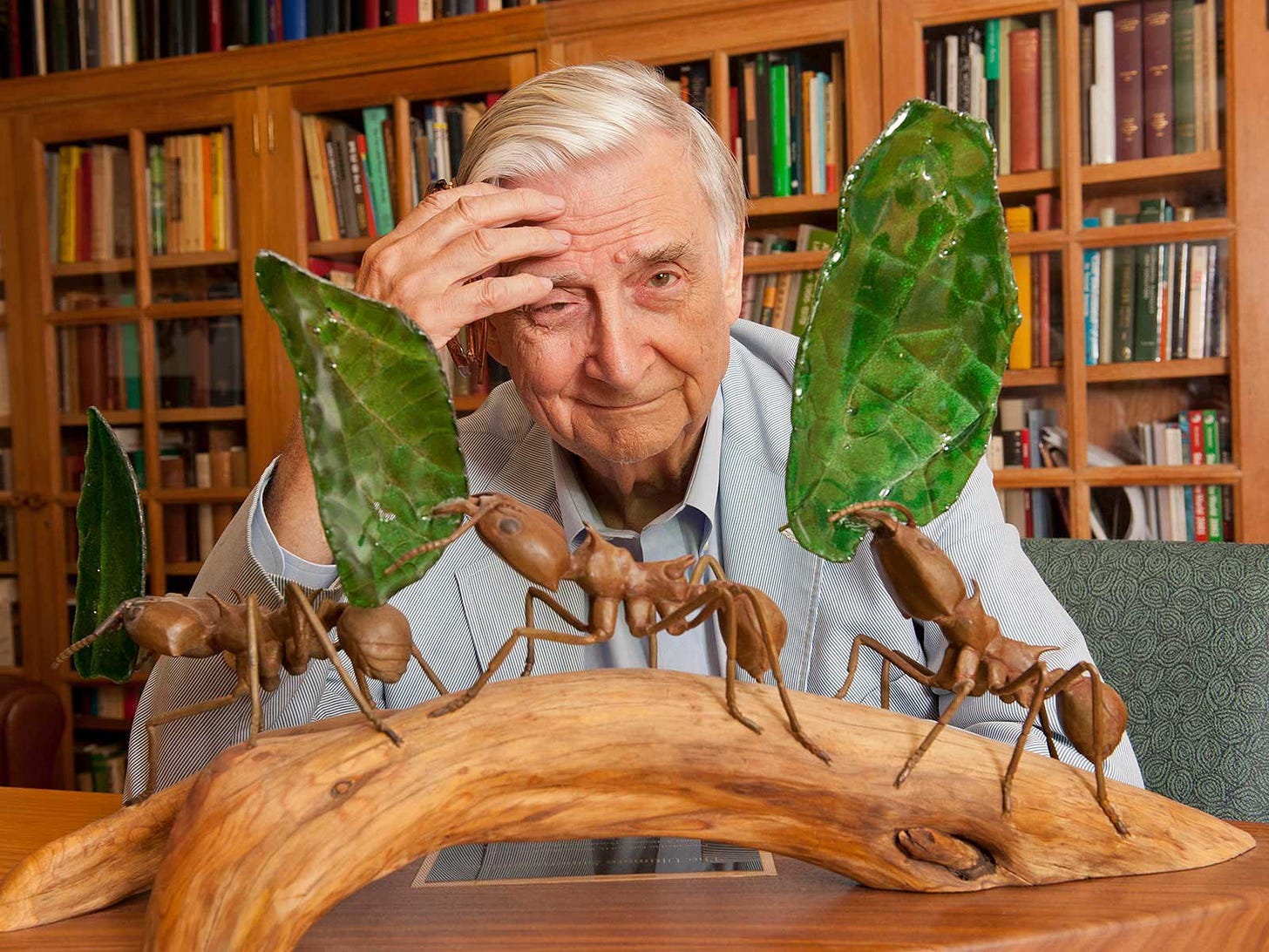 Remembering E.O. Wilson's Wish for a More Sustainable Existence | Science|  Smithsonian Magazine
