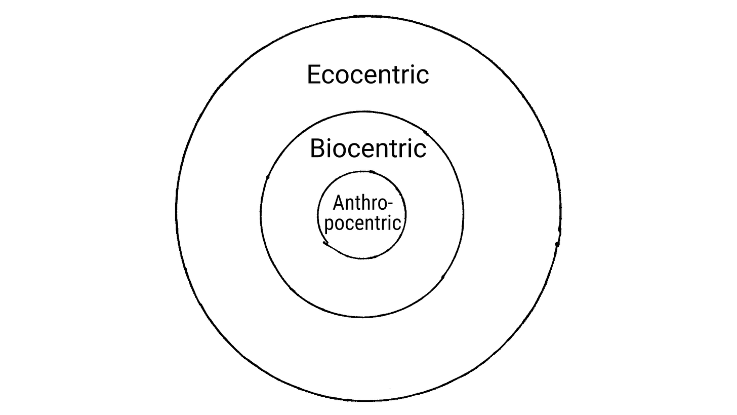 Three concentric circles, starting at the centre: Anthropocentric, Biocentric, Ecocentric