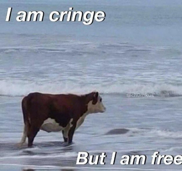 brown and white cow standing in watrer with overlay text that reads "I am cringe but I am free"