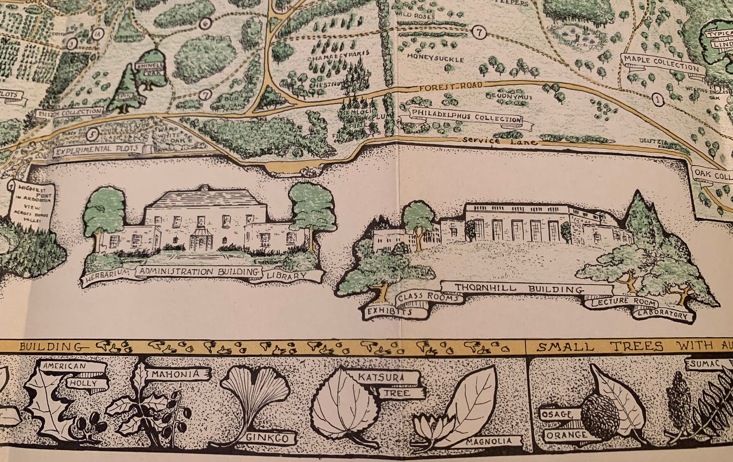 Inset of May Watts' illustrated map showing drawings of the Administration Building and Thornhill Building.