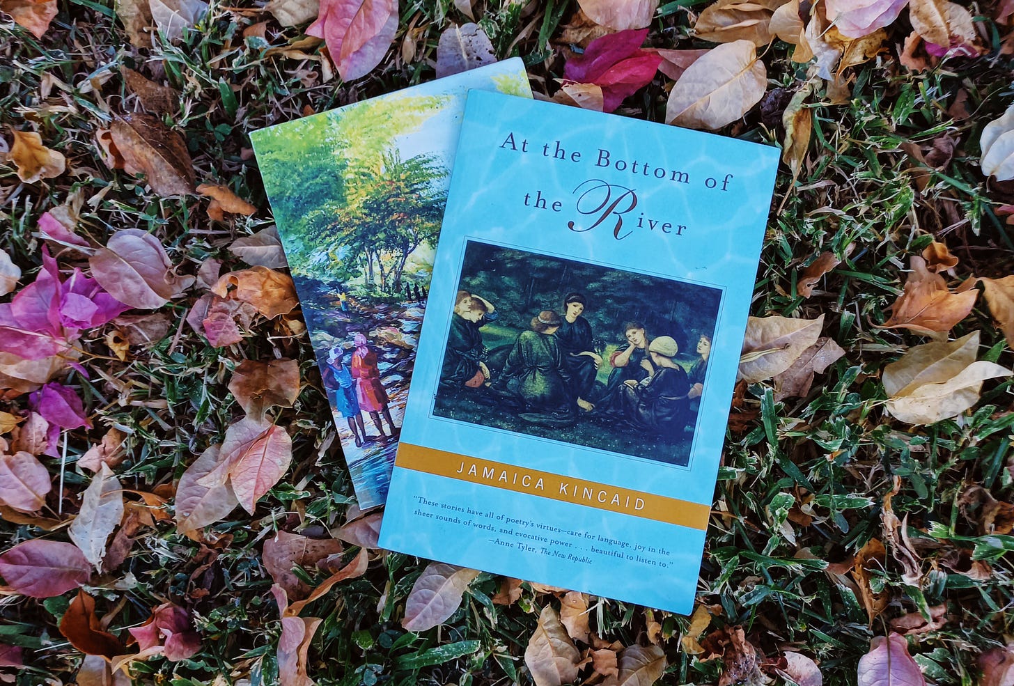 A paperback copy of At the Bottom of the River on top of a greeting card with a river scene, all flat on the ground with dried pink and brown bougainvillea flowers