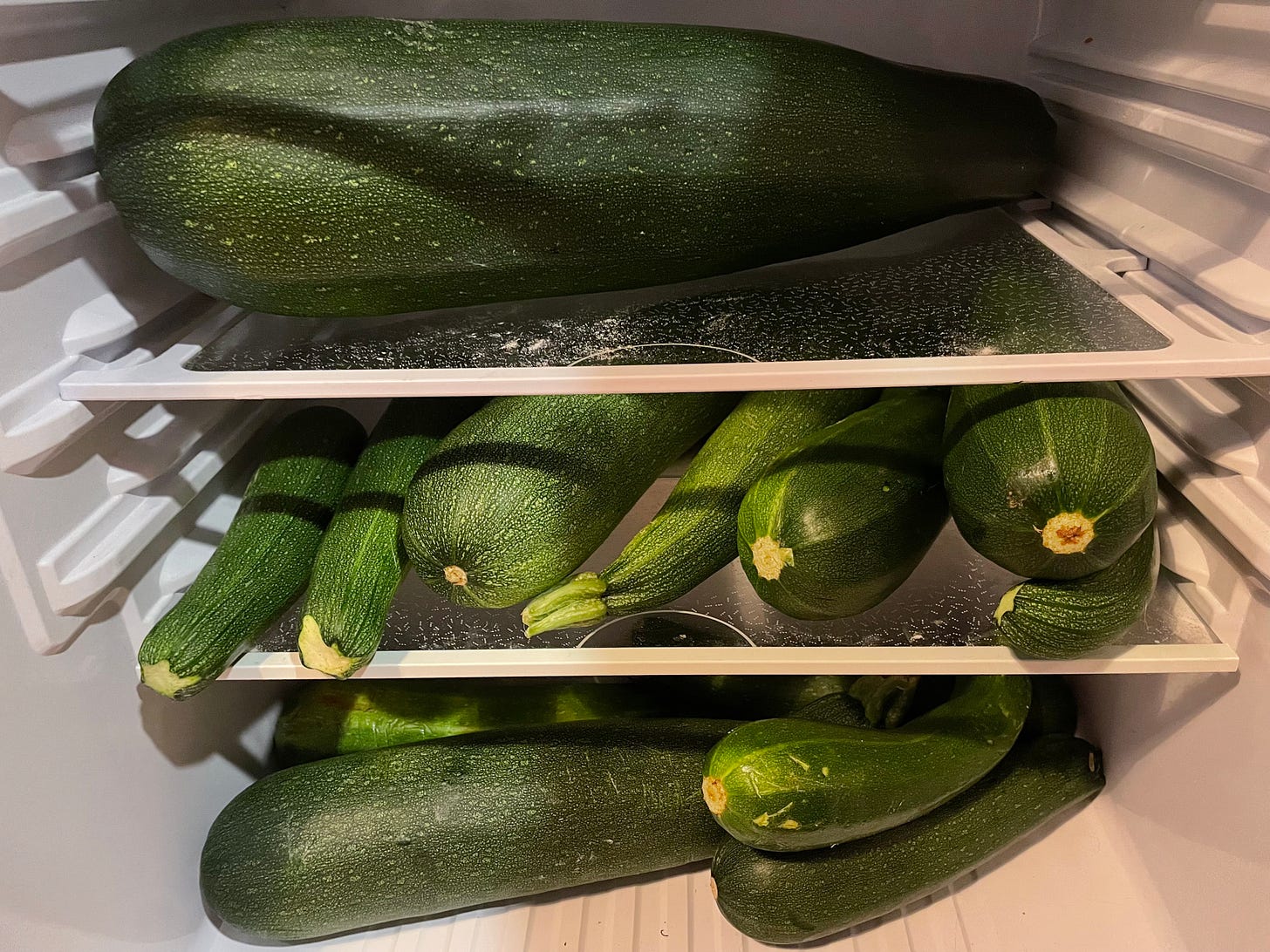 mini fridge full of zucchini