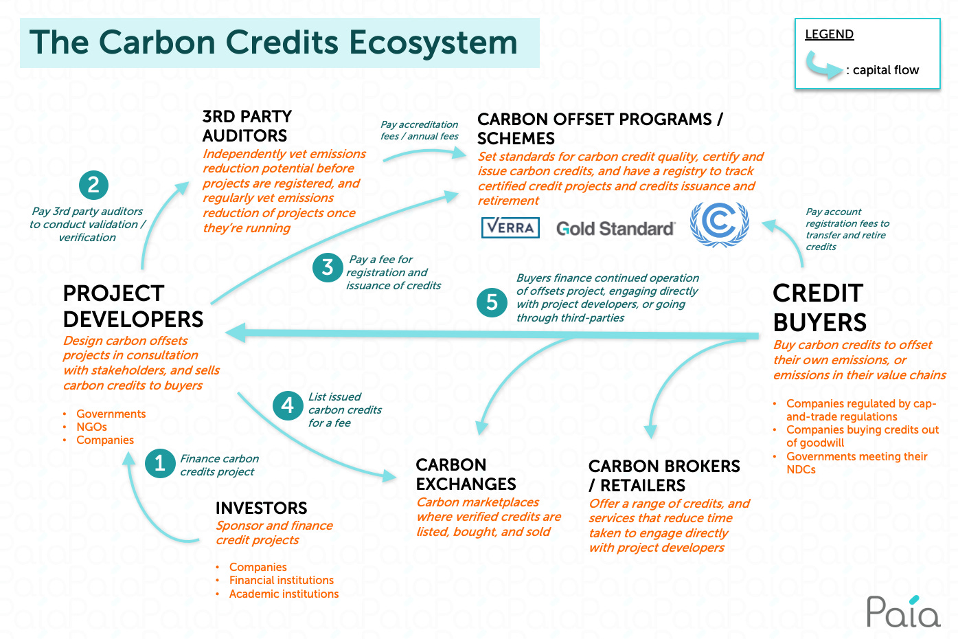 The Carbon Credits Ecosystem infographic