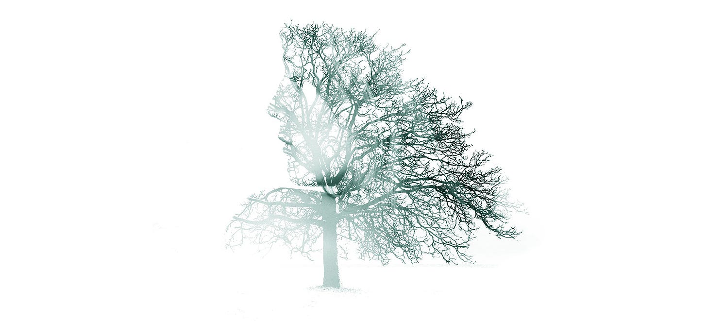 Green tree outline. Left upper half of tree is blurred and shows a faint face.