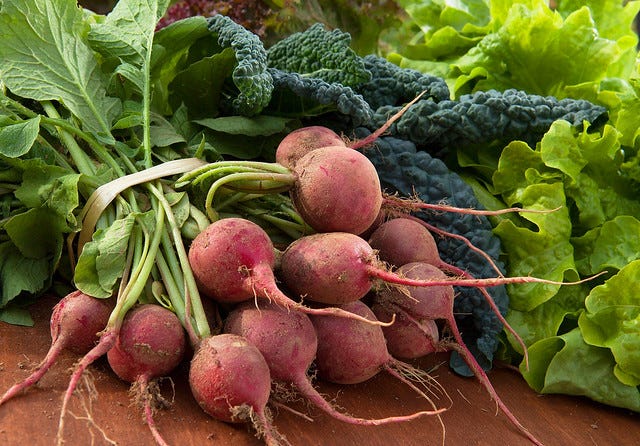 sweet potato food systems in kenya