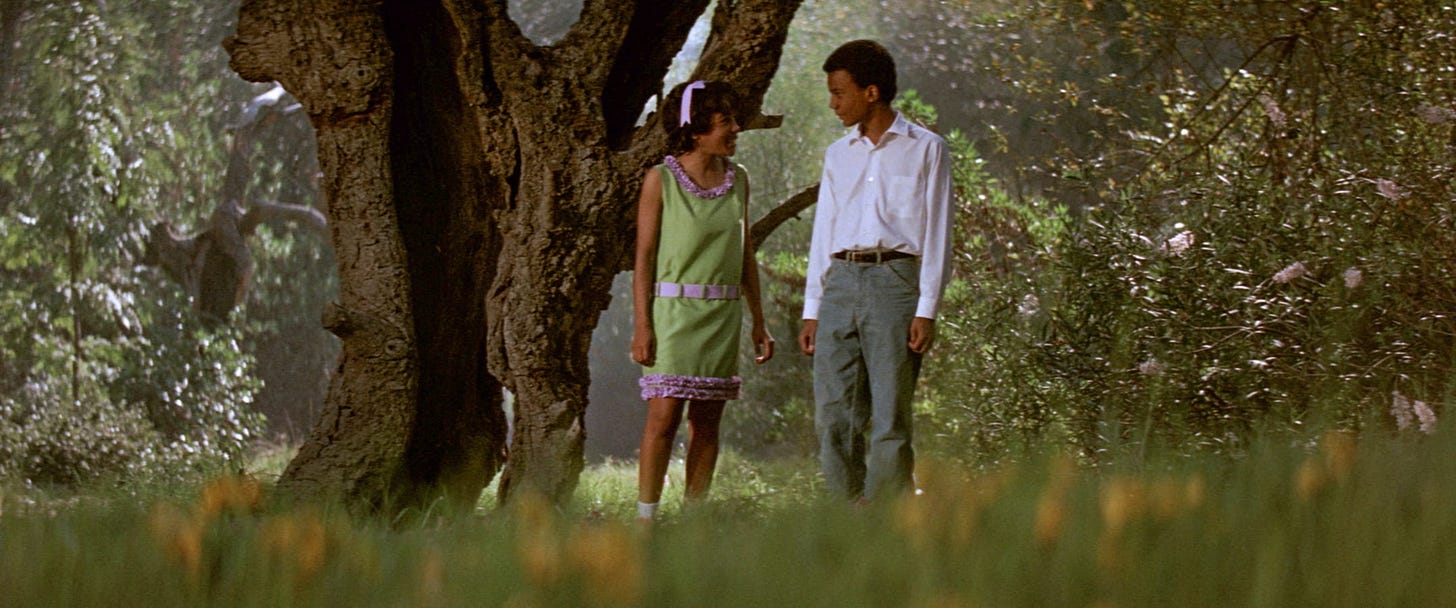 The Learning Tree (1969) | The Criterion Collection