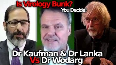 Is Virology WRONG? Dr Kaufman Vs Dr Wodarg Debate On ...