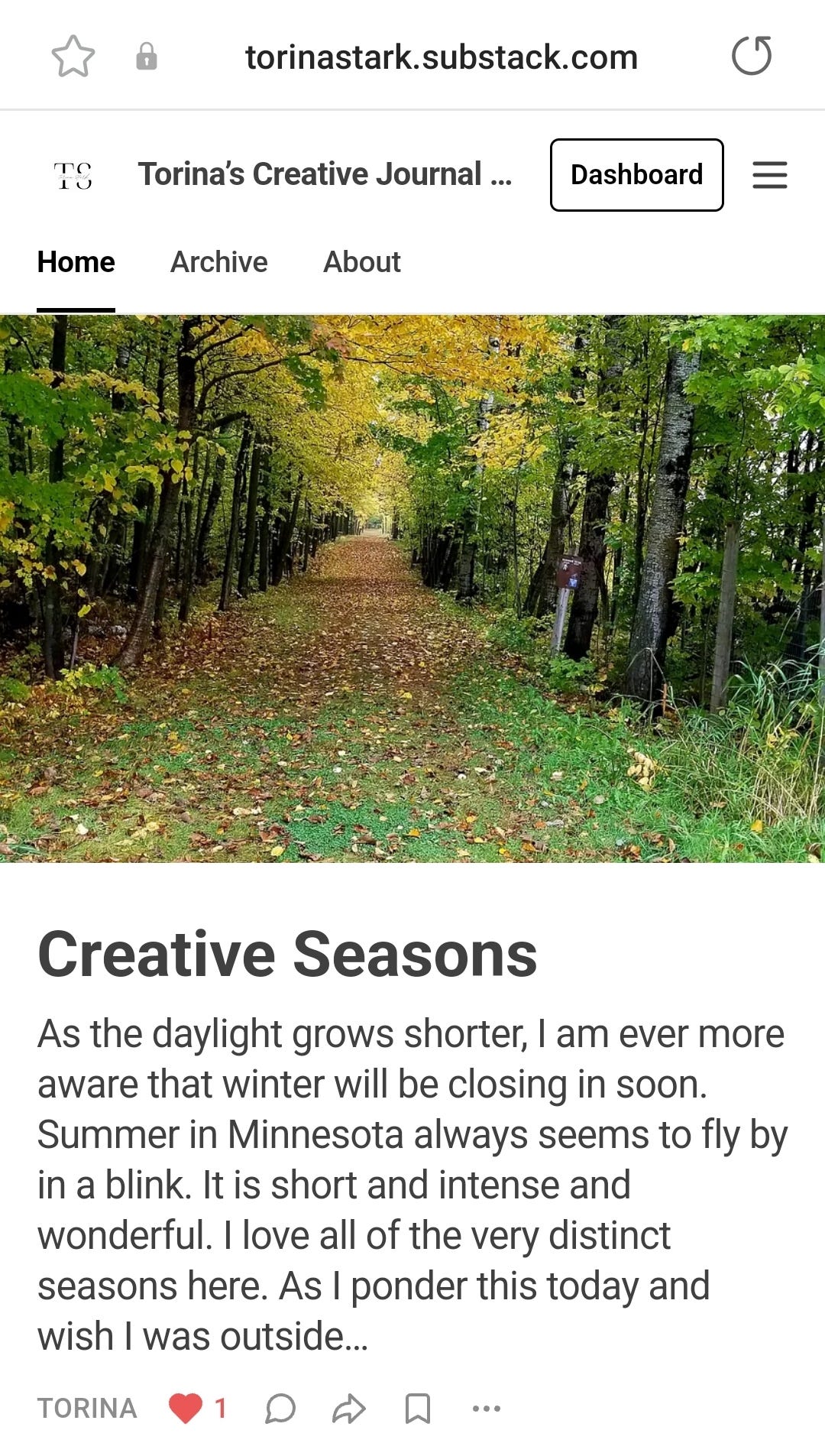 My Dynamic Substack Homepage featuring a post I wrote in October with a picture of some Minnesota woods beginning full leaf change display glory