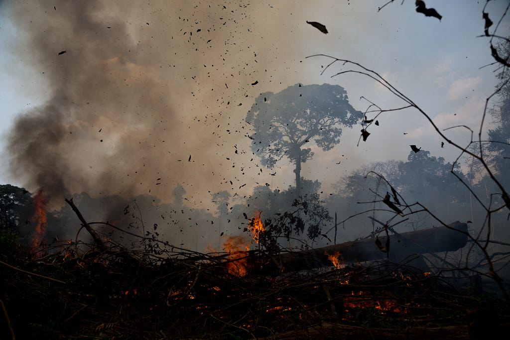 Brigada Amazônia - Rota Chico Mendes • 15 a 20/09/2019 • A… | Flickr