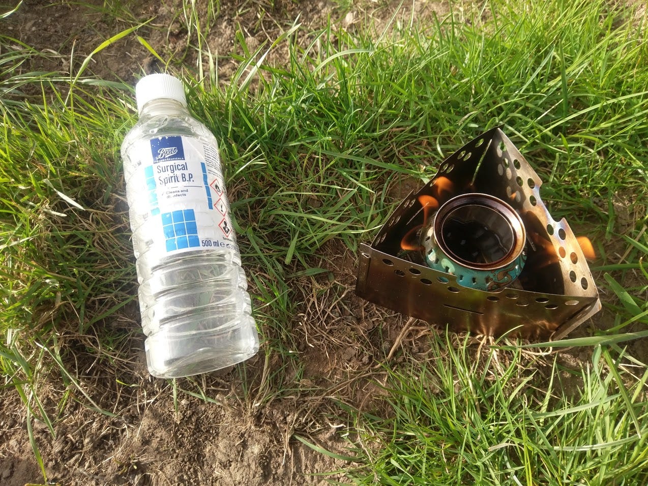 A picture containing grass, laying, beverage, drinking water

Description automatically generated