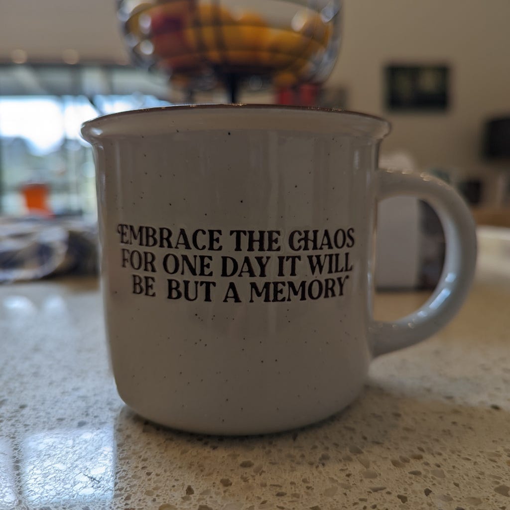 A mug that says, "Embrace the chaos for one day it will be but a memory"