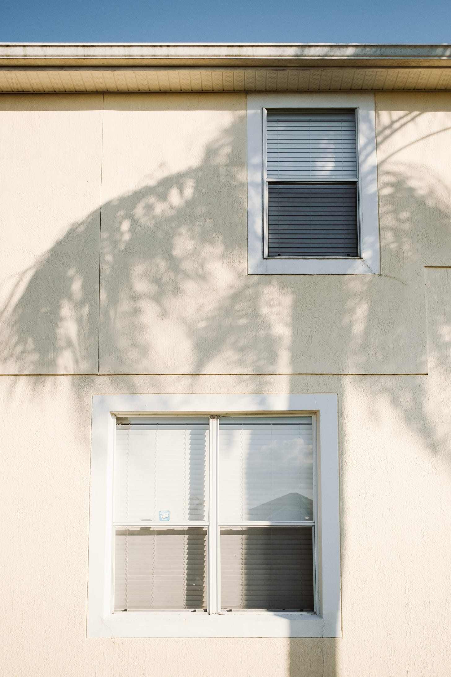 A sunny day; the shadow of a palm tree cast on the side wall and window of a house. A thin strip of blue sky at the top of the frame.