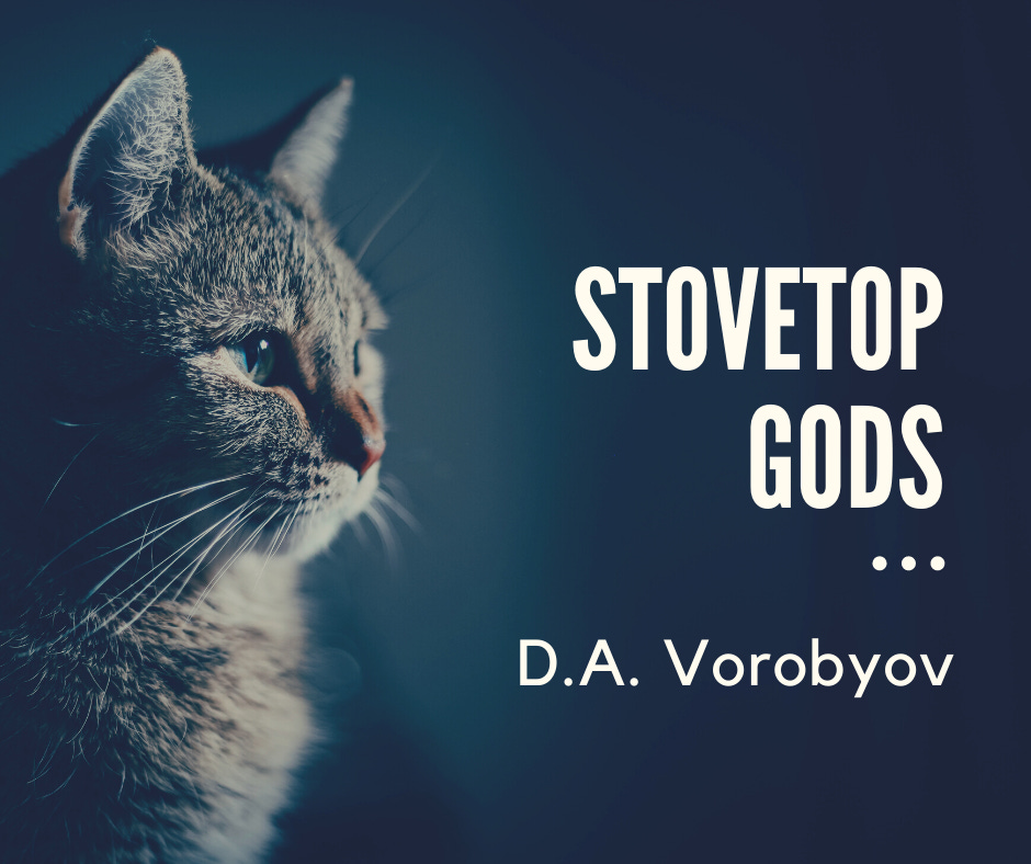 Title card for Stovetop Gods by D.A. Vorobyov, featuring a grey cat starting into the mysterious distance.