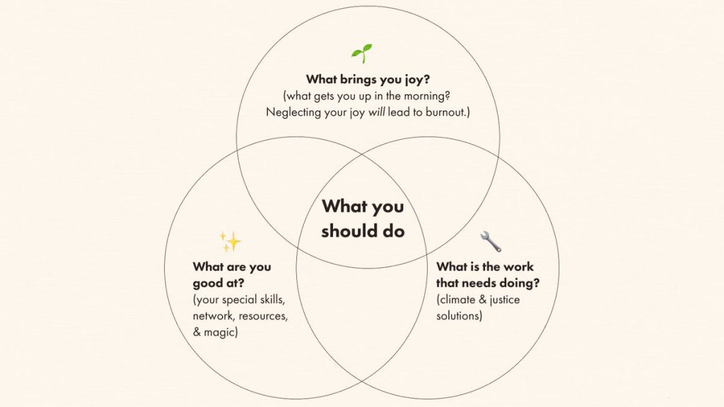A venn diagram. The three circles are "What brings you joy?" "What are you good at?" and "What is the work that needs doing?" Where they overlap it says "What you should do" 
