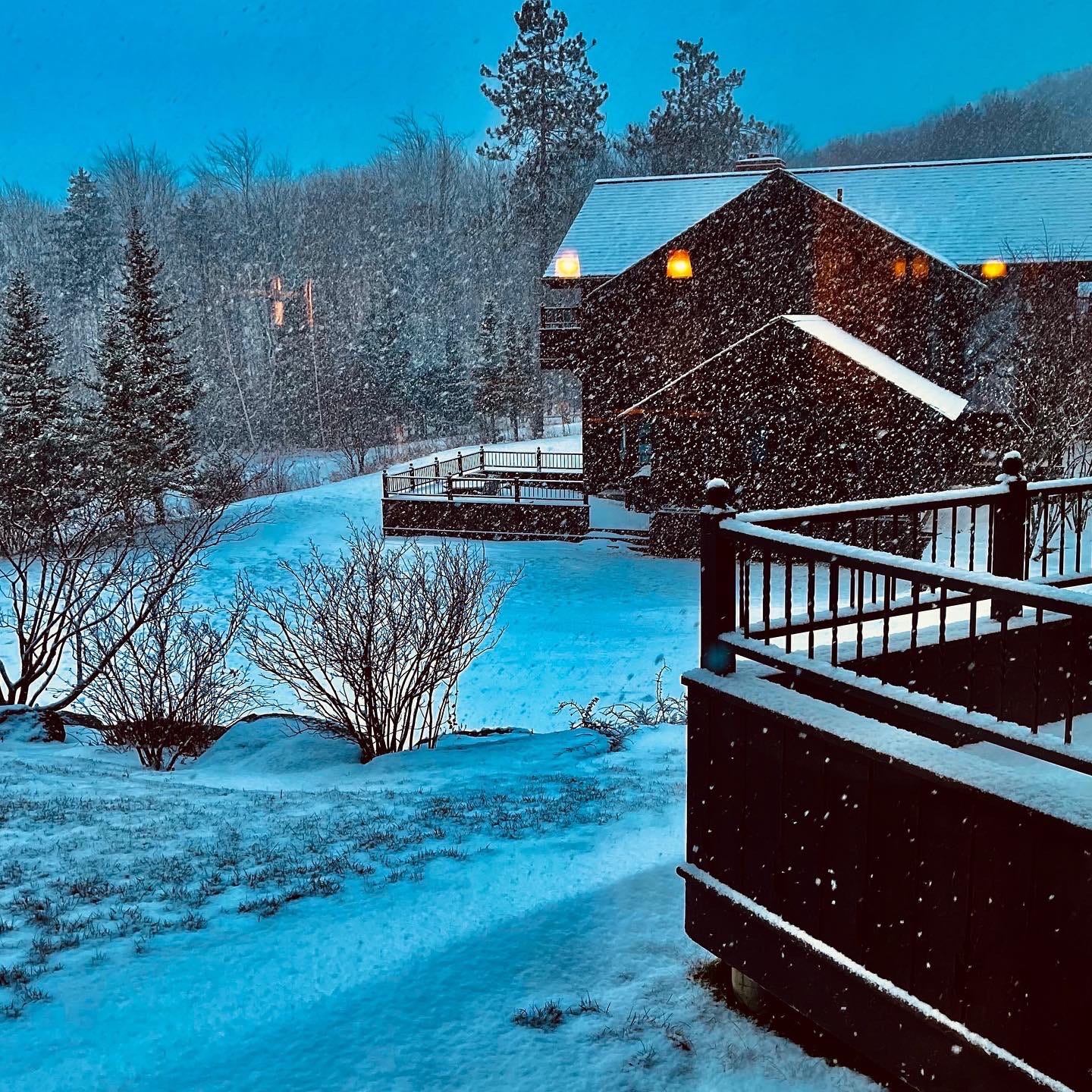 Snowy cabins with a dark blue dusky sky