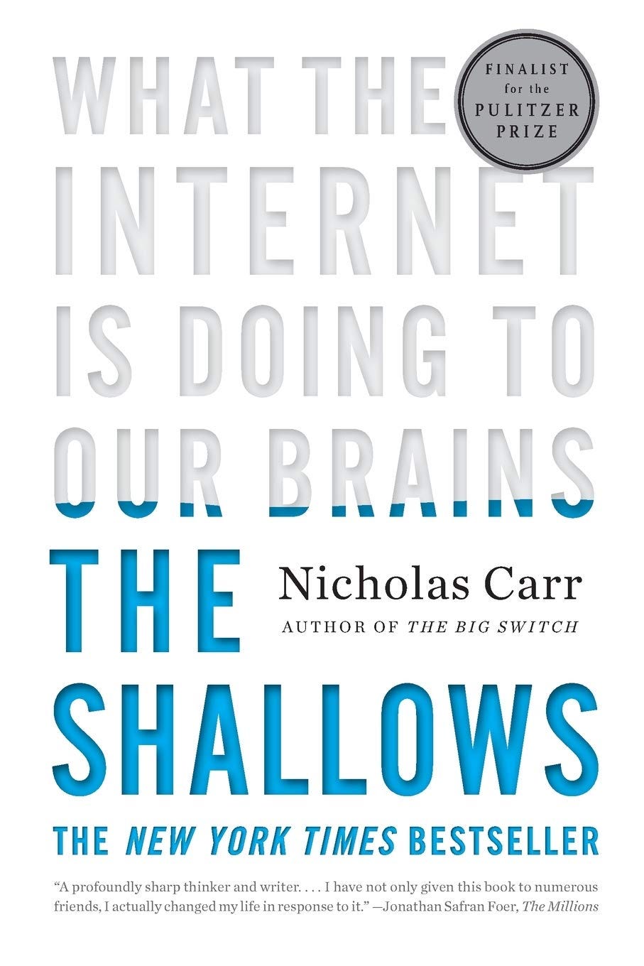 The Shallows: What the Internet Is Doing to Our Brains: Carr, Nicholas:  9780393339758: Amazon.com: Books