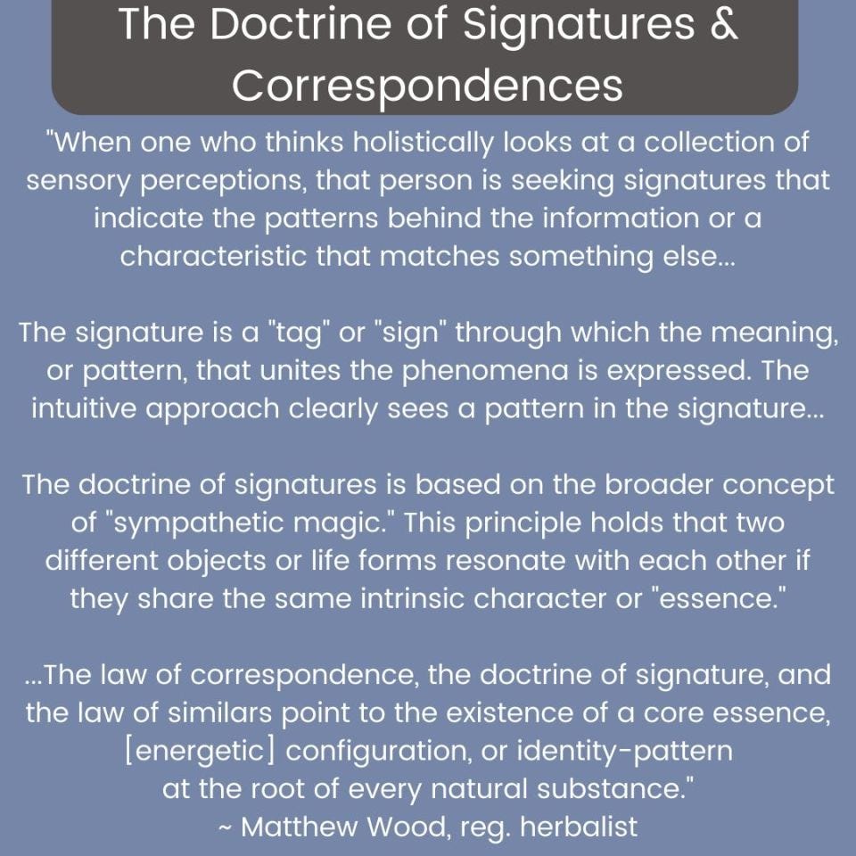 Quote from herbalist Matthew wood about the doctrine of signatures and correspondences