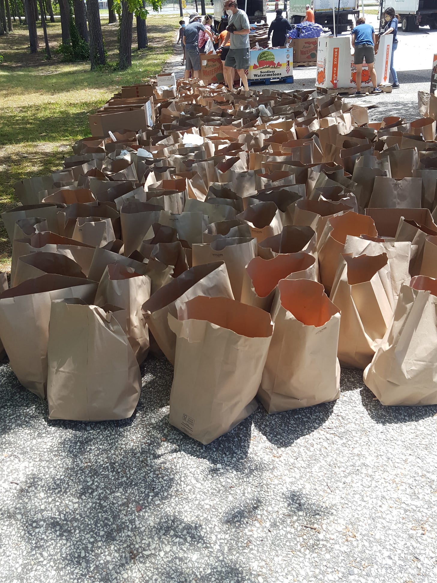 Lots of brown paper bags containing fresh produce to donate to anyone who needs it. In the background are the volunteers who filled the bags.