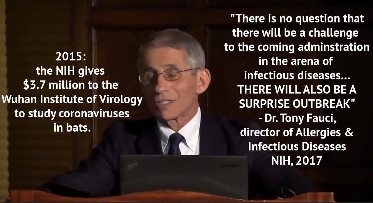May be an image of text that says '2015: the NIH gives $3.7 million to the Wuhan Institute of Virology to study coronaviruses in bats. "There is no question that there will be a challenge to the coming adminstration in the arena of infectious diseases... THERE WILL ALSO BEA SURPRISE OUTBREAK" -Dr. Tony Fauci, director of Allergies Infectious Diseases NIH, 2017'