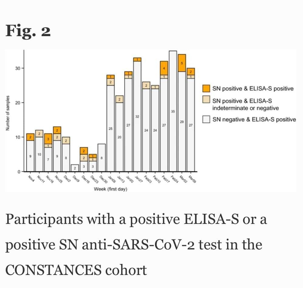 May be an image of text that says 'Fig. 2 wabm 20 sapp SN positive & ELISA-S positive SN positive & ELISA-S indeterminate negative SN negative ELISA-S positive Jon27 Feb0g Week (first day) Feb24 Participants with a positive ELISA-S or a positive SN anti-SARS-CoV-2 test in the CONSTANCES cohort'