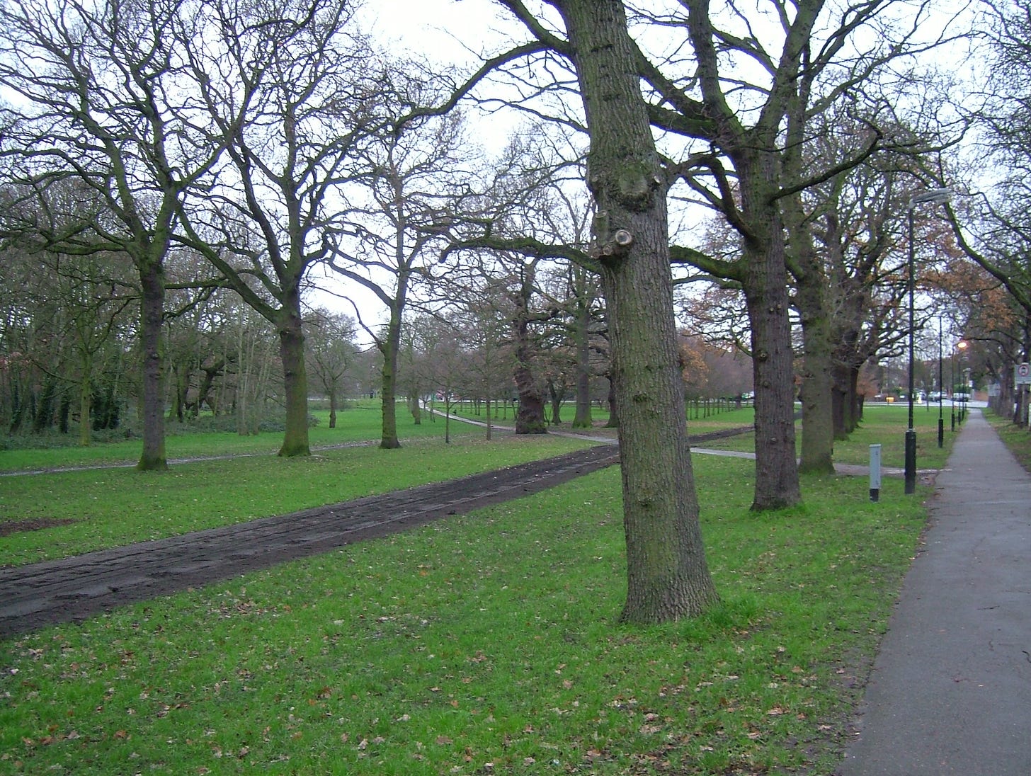 Tooting Commons - Wikipedia