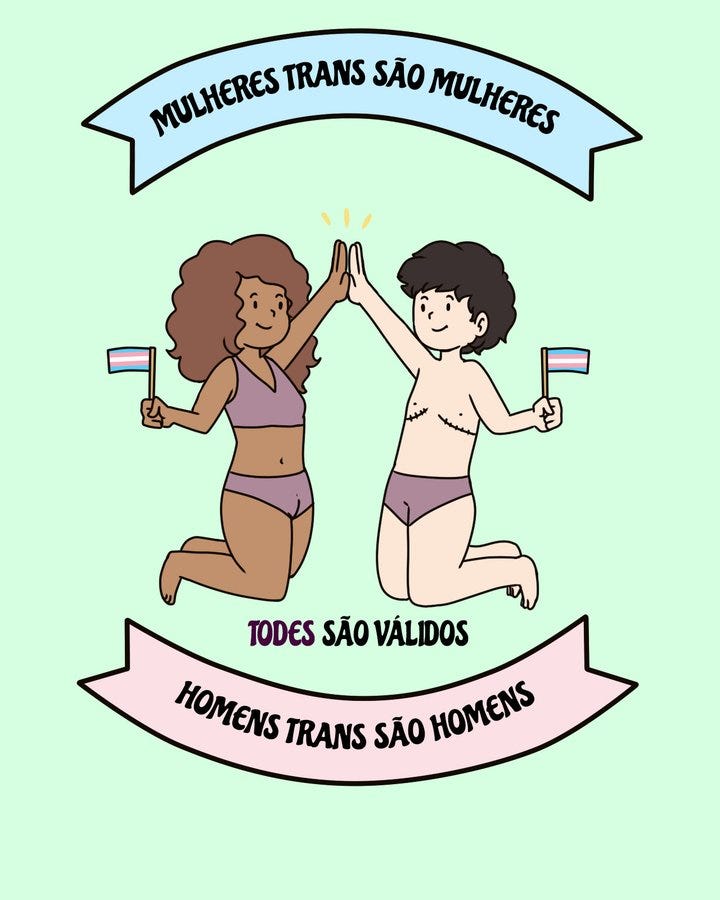 Ilustração com o texto mulheres trans são mulheres; todes são válidos; homens trans são homens. Ao centro duas pessoas, uma negra com cabelo longo usando top e peça de baixo; outra branca, cabelo curto e branco, e usando peça de baixo. 