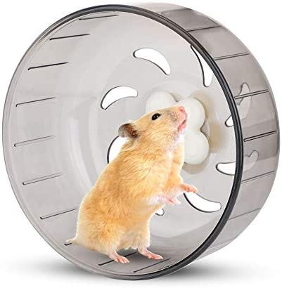 Amazon.com : Hamster Running Wheel, 13cm Hamster Wheel Small Pet Hamster  Exercise Wheel Silent Plastic Running Toy for Small Animal Hamster Gerbil  Guinea Pig : Pet Supplies