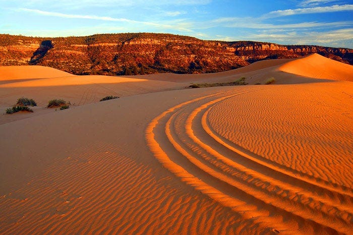 4-wheeler tracks at Coral Pink Sand Dunes State Park in Utah - Utah National Park Trips 4-wheeler tracks at Coral Pink Sand Dunes State Park in Utah - Utah National Park Trips