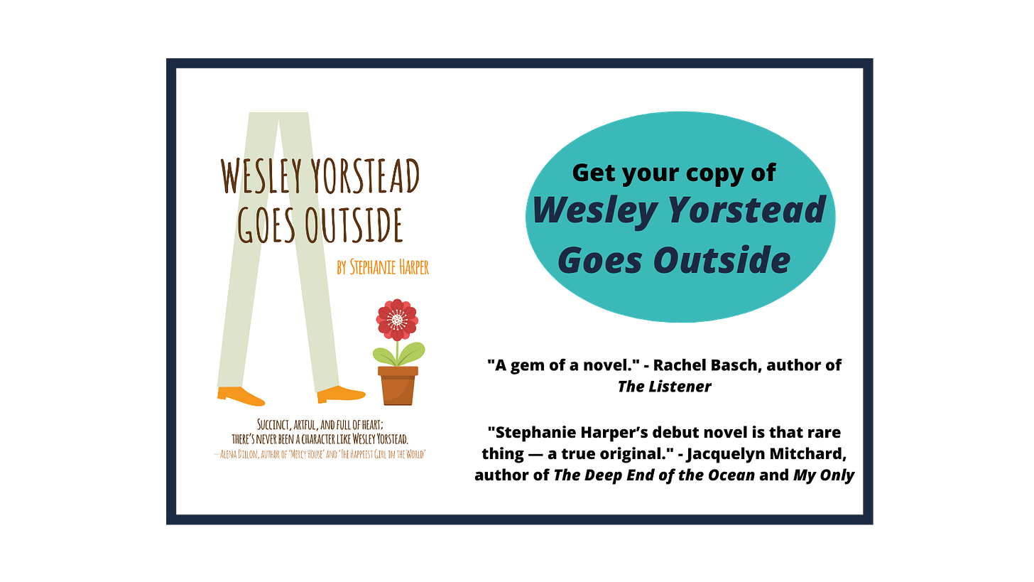 Get your copy of Wesley Yorstead Goes Outside