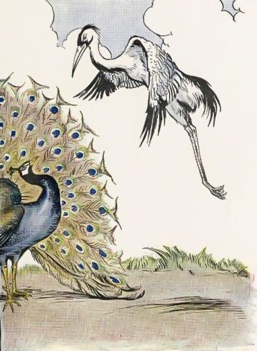 The Peacock and The Crane - Fables of Aesop