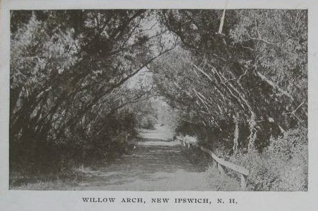 The Willow Arch