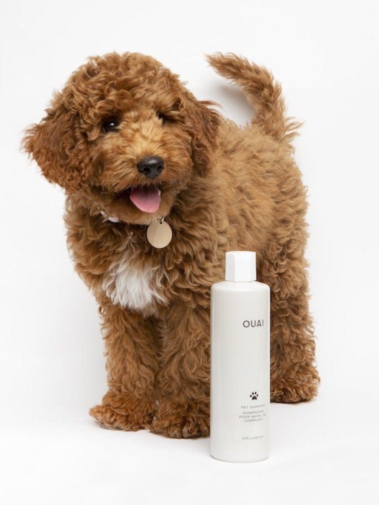 ouai%20pet%20shampoo%20dog.jpg