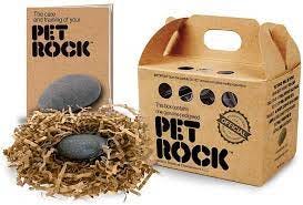 Amazon.com: Pet Rock The Original by Gary Dahl : Pet Supplies