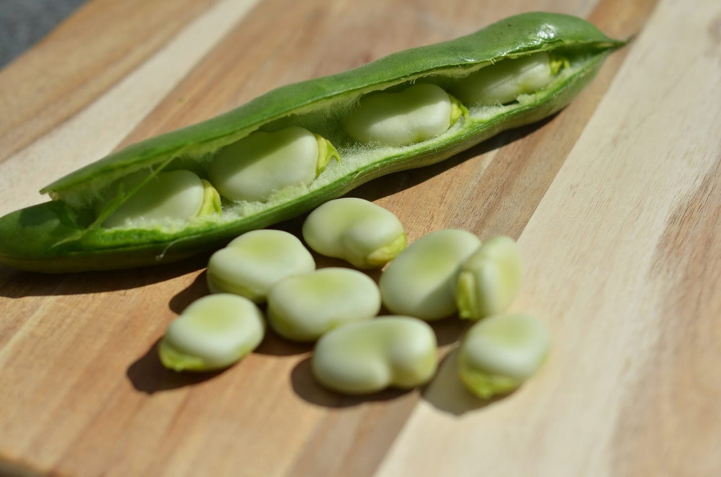 What Are Fava Beans and What Do They Taste Like? | MyRecipes