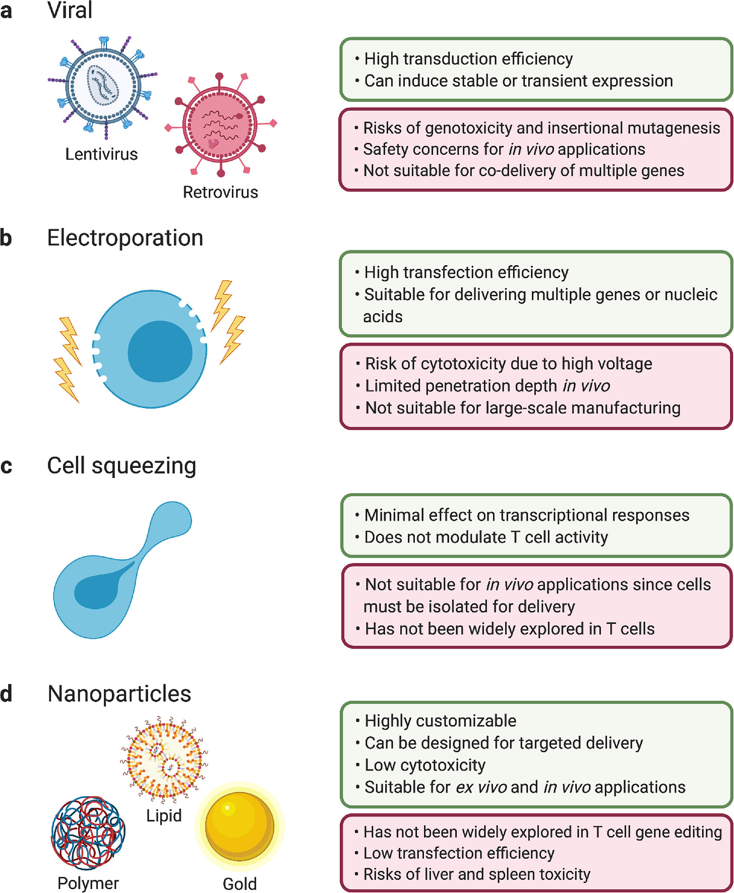 Delivery technologies for T cell gene editing: Applications in cancer  immunotherapy - EBioMedicine