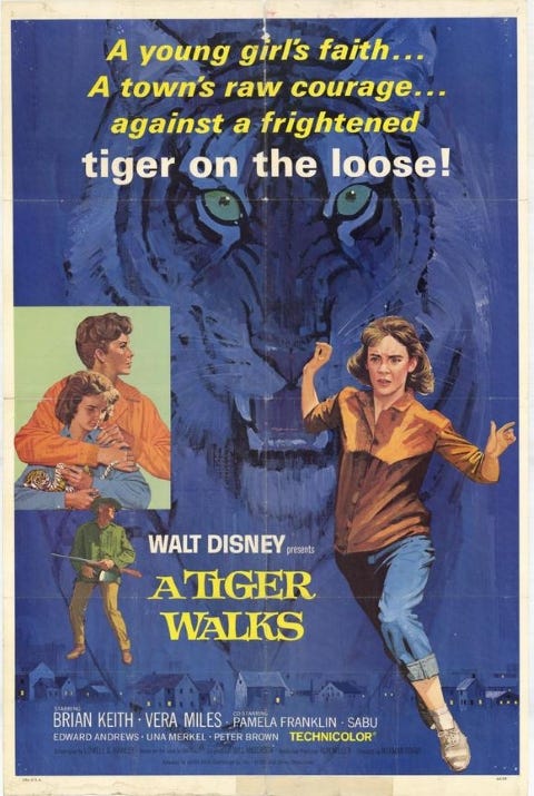 Original theatrical release poster for Walt Disney's A Tiger Walks
