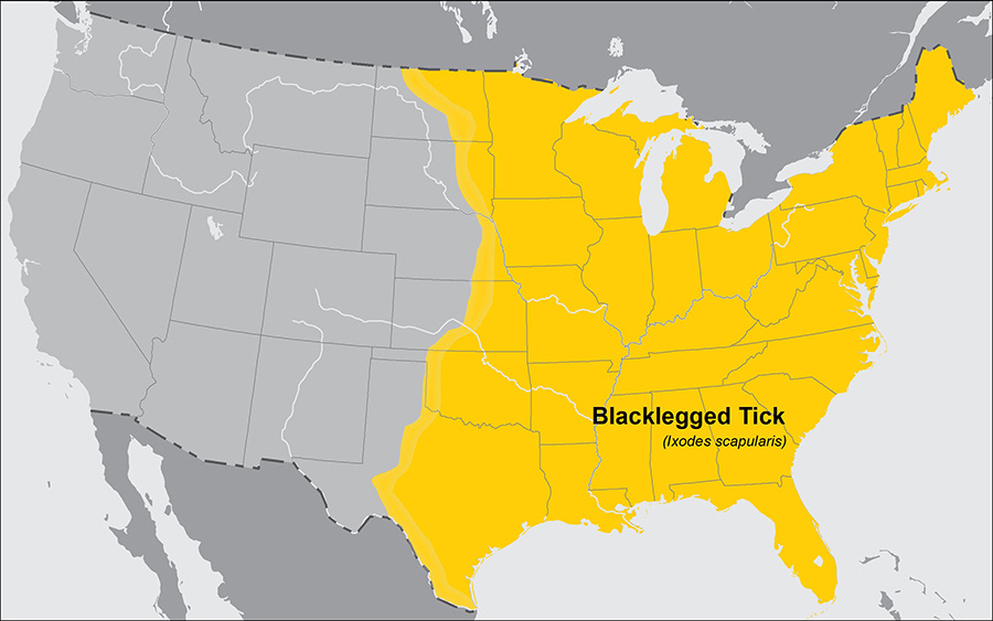 Regions where ticks live | Ticks | CDC
