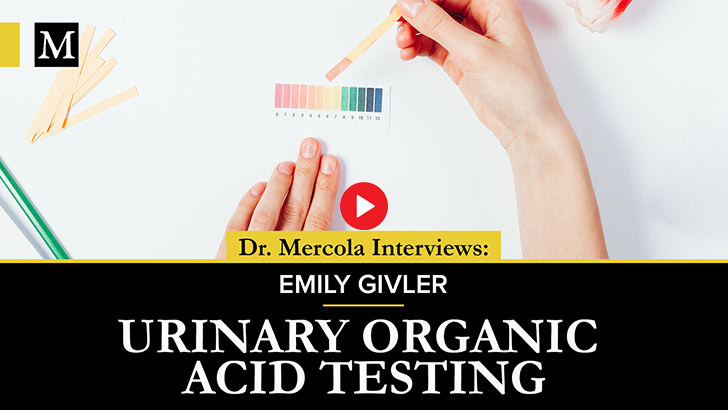 urine organic acids test