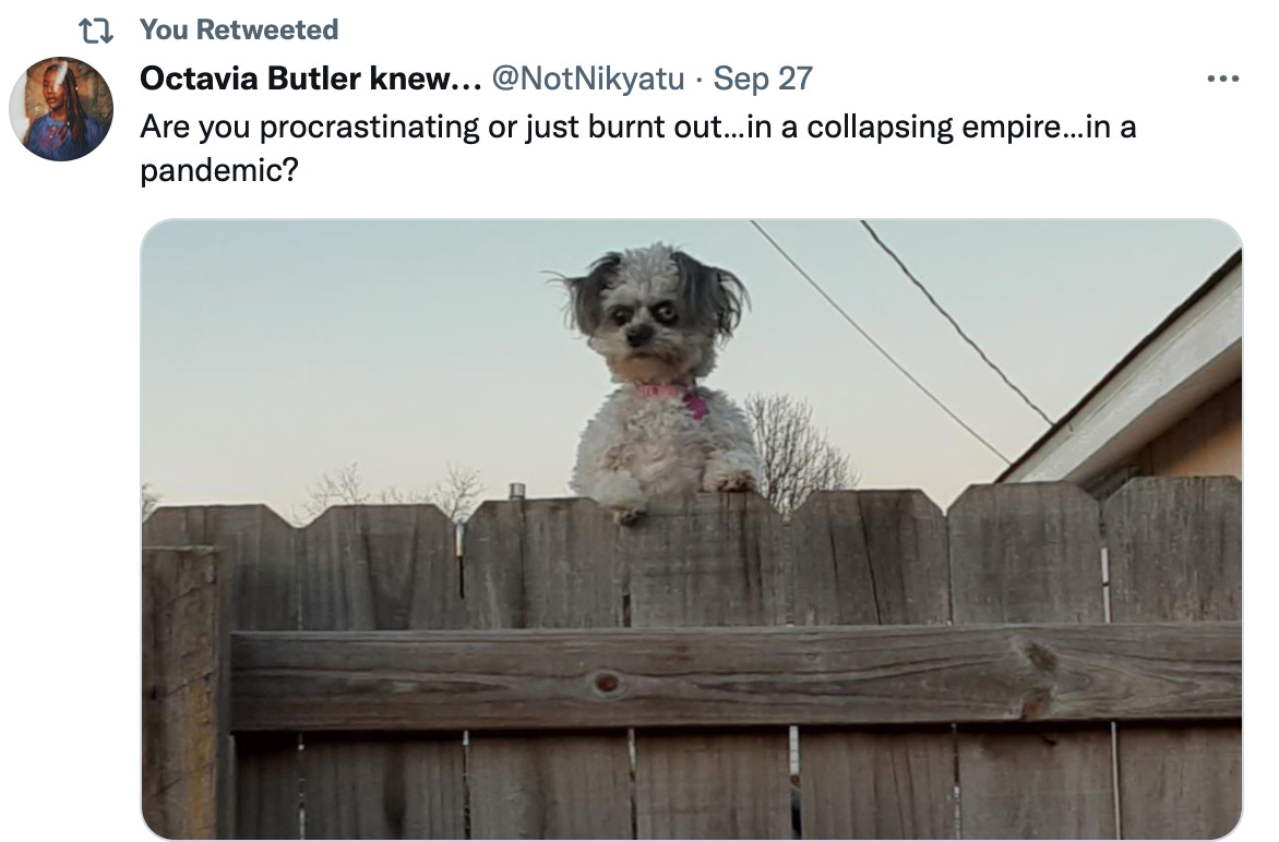 image of a scary looking dog peering over a fence. dogge has a stern look on their face and to be honest it looks scary. text accompanying the image is a tweet from @NotNikyatu reading "Are you procrastinating or just burned out...in a collapsing empire...in a pandemic?"